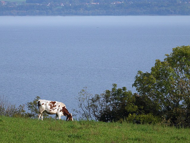 Entre Montalchez et Saint-Aubin