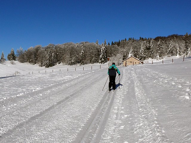 Ski de fond  La Tourne
