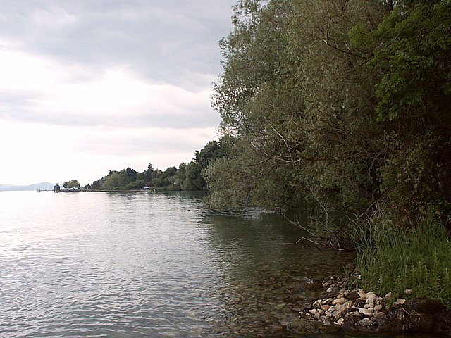 Bord du lac à Saint-Aubin