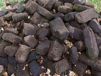 Briquettes de tourbe