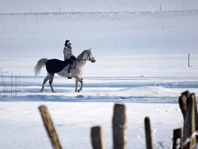 Promenade à cheval dans la neige