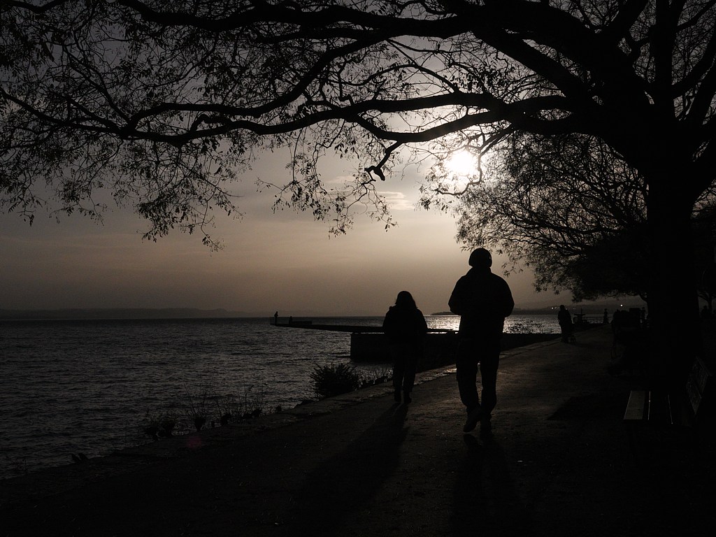 Contre-jour sur le quai Osterwald