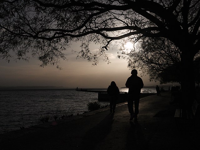 Contre-jour sur quaoi Osterwald