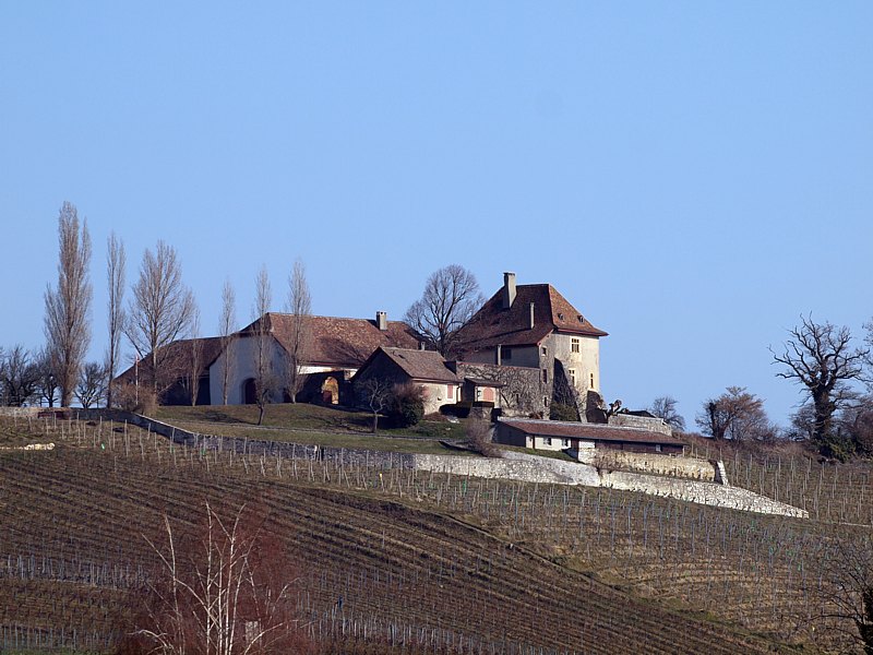 Abbaye de Bevaix, ct nord