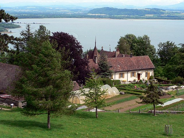 L'abbaye de Fontaine-Andr