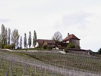 Abbaye de Bevaix Abbaye de Bevaix