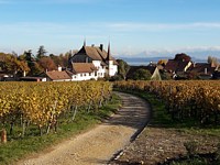 Domaine du château d'Auvernier