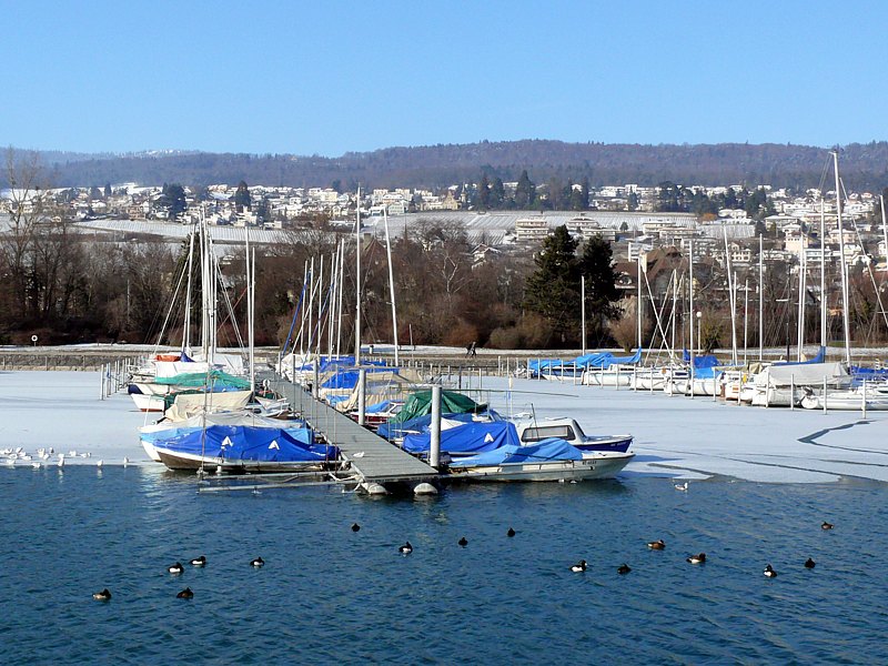 Le port sous la glace