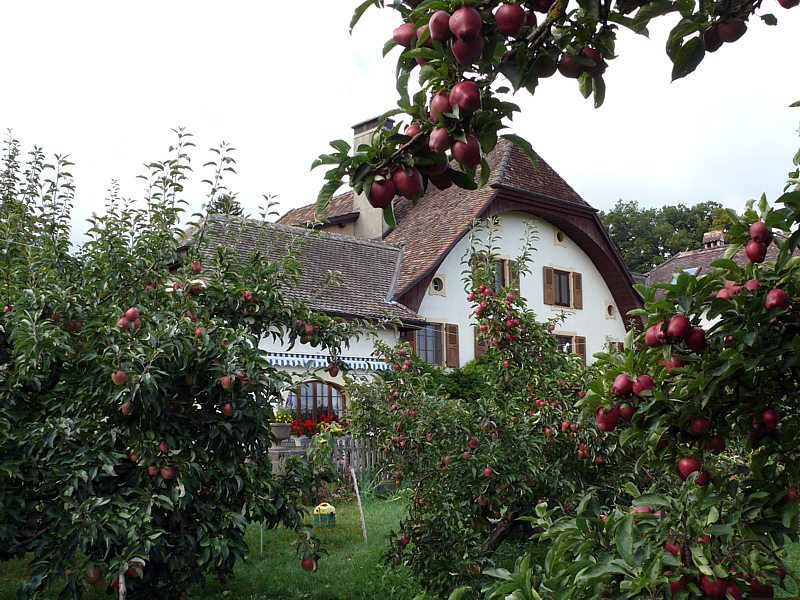 Habitation dans les Hauts de Boudry