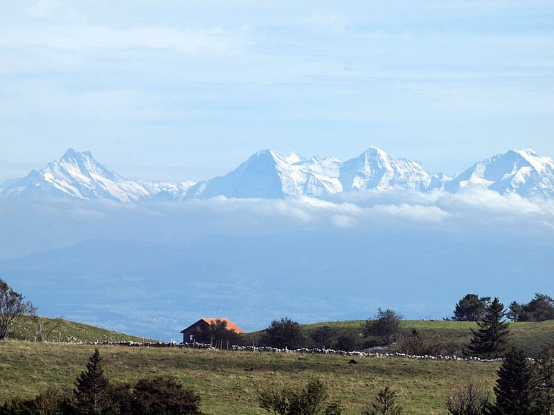 Les Alpes depuis le Creux-du-Van