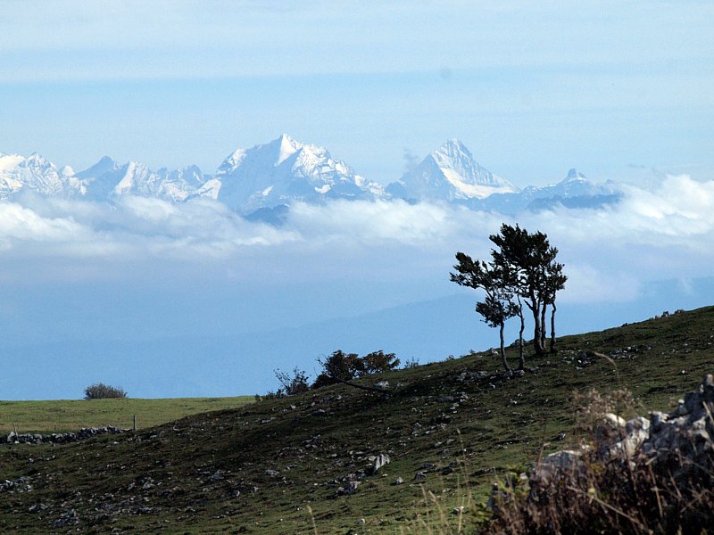 Jungfrau et Breithorn