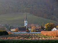 L'église du village de Cressier