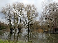 Champs inondés