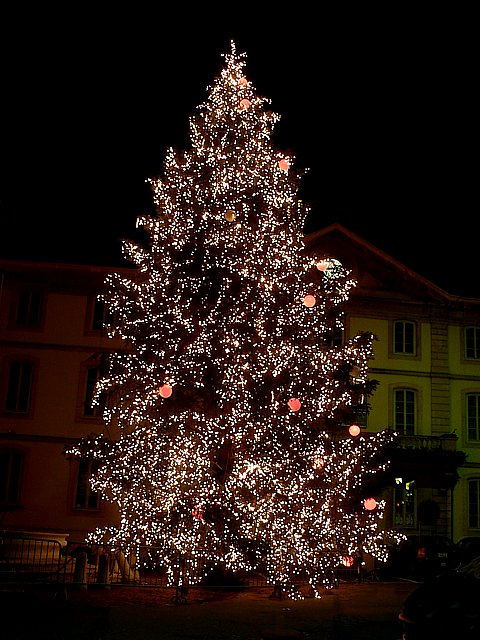Le sapin de Noël à Neuchâtel