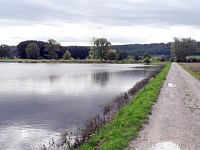 Champs inondés à la Vieille Thielle