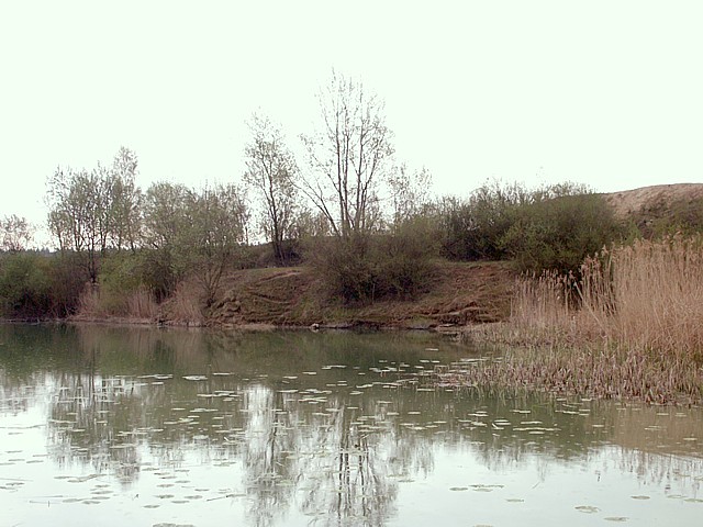 L'étang de Paulière à Coffrane