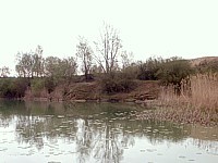 L'étang de Paulière