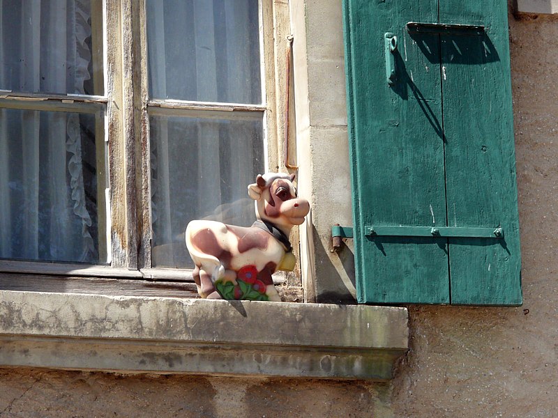 Petite vache sur tablette de fenêtre